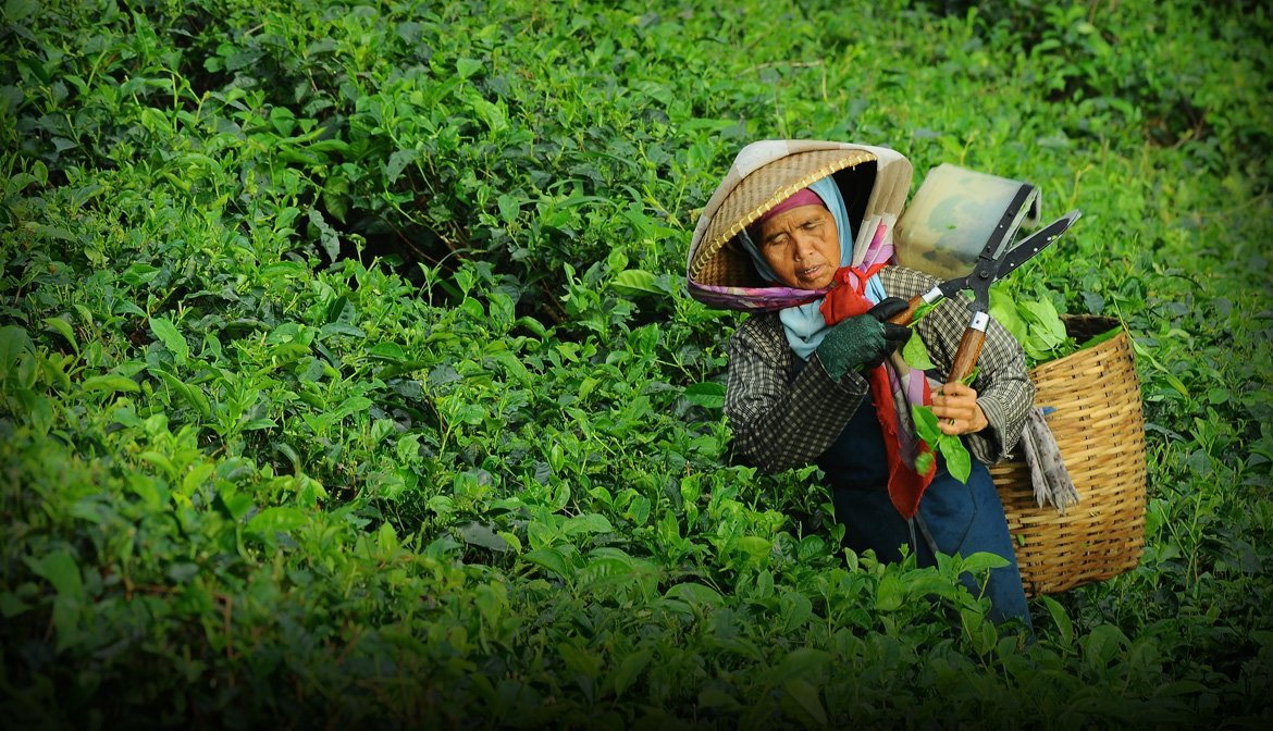 carusel-img-1 carusel-img-1