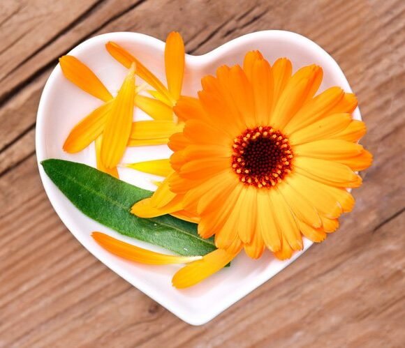 testomonila-img testomonila-img