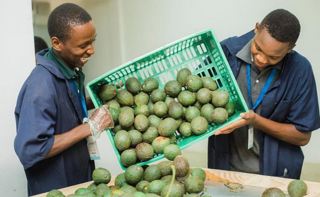 packing houses employees
